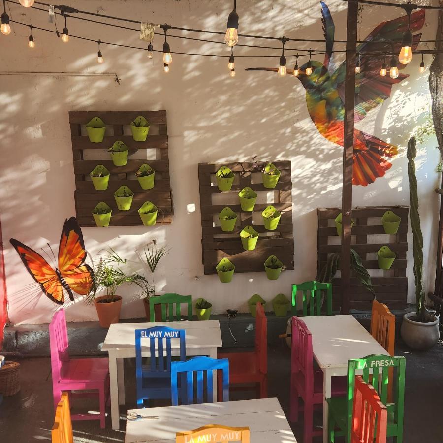 Casa Frida Villa Tulum Exterior photo